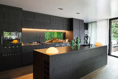 Cooker splashback Bamboo forest