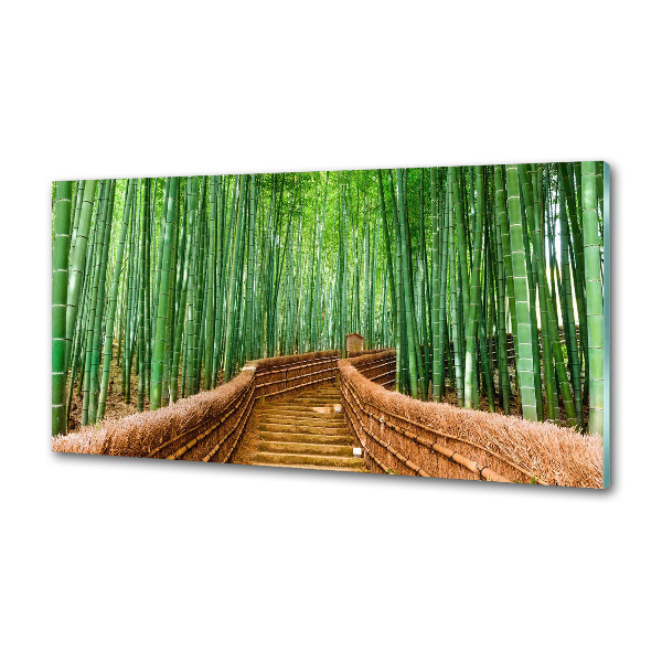 Cooker splashback Bamboo forest