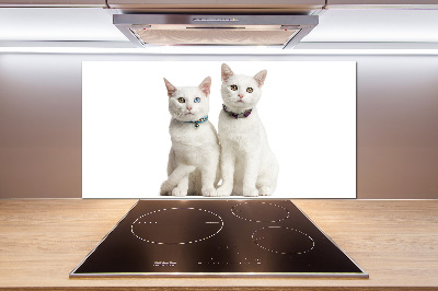 Cooker splashback White cats