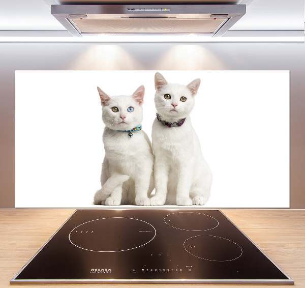 Cooker splashback White cats