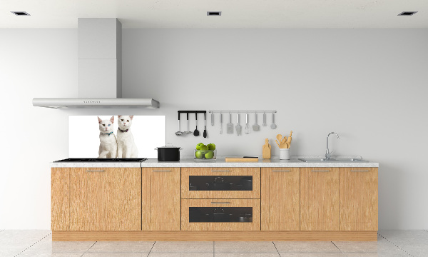 Cooker splashback White cats