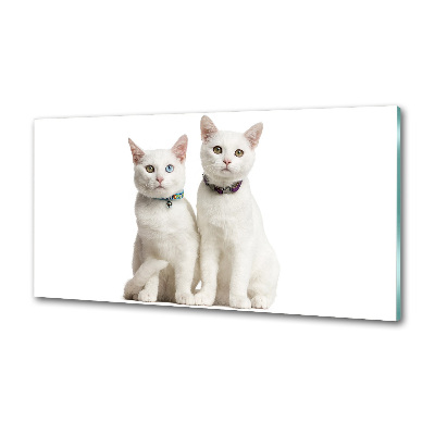 Cooker splashback White cats