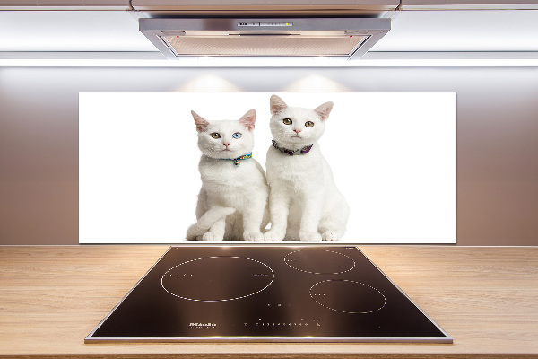 Cooker splashback White cats