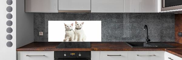 Cooker splashback White cats