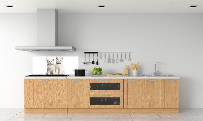 Cooker splashback White cats