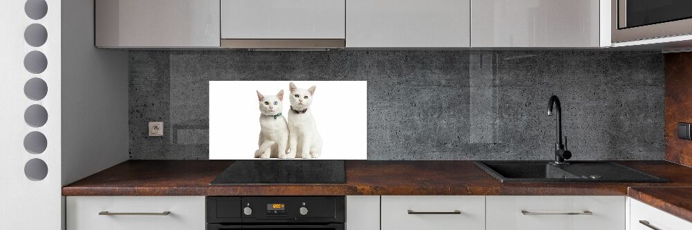 Cooker splashback White cats