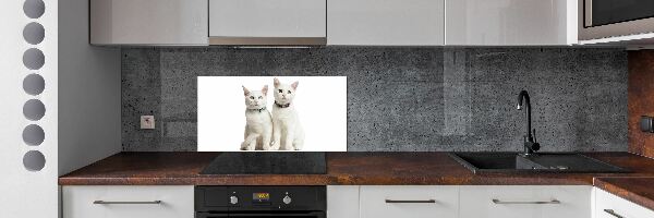 Cooker splashback White cats