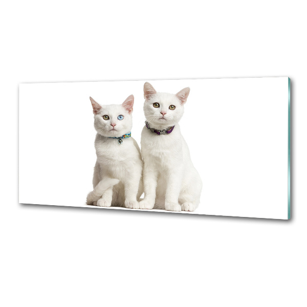 Cooker splashback White cats