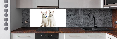 Cooker splashback White cats