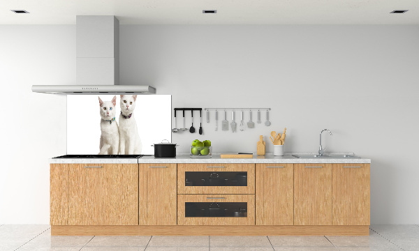 Cooker splashback White cats