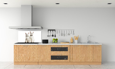 Cooker splashback White cats