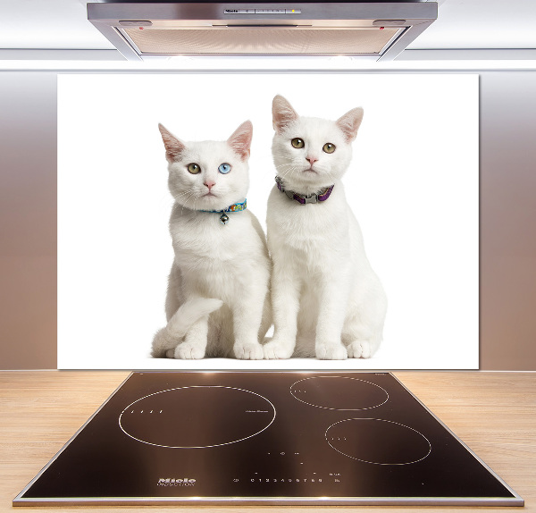 Cooker splashback White cats