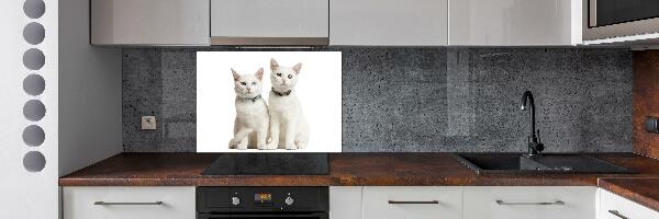 Cooker splashback White cats