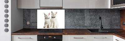 Cooker splashback White cats