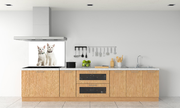 Cooker splashback White cats