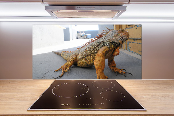 Cooker splashback Iguana