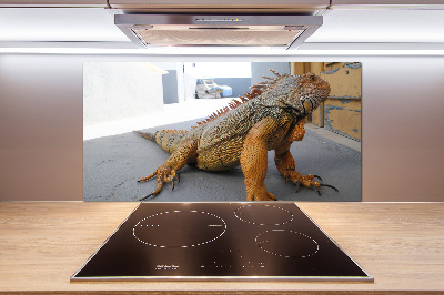 Cooker splashback Iguana