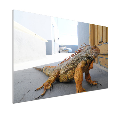 Cooker splashback Iguana