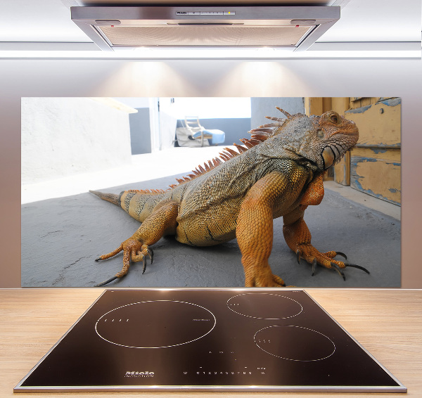 Cooker splashback Iguana