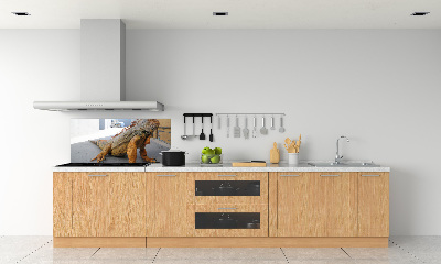 Cooker splashback Iguana