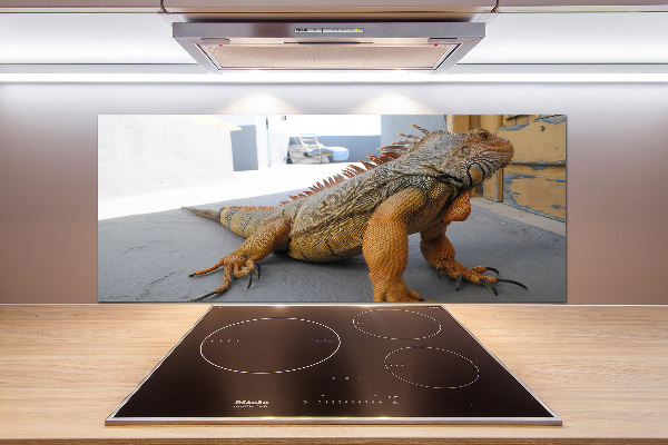 Cooker splashback Iguana