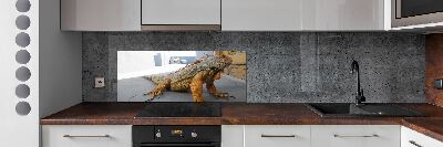 Cooker splashback Iguana