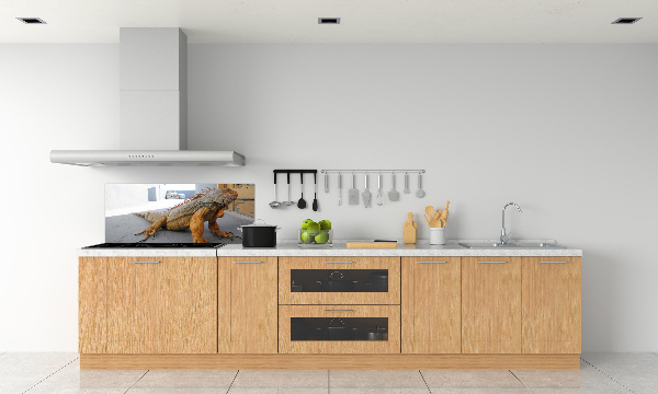 Cooker splashback Iguana