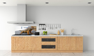 Cooker splashback Iguana