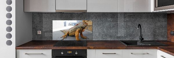 Cooker splashback Iguana