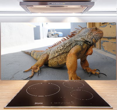 Cooker splashback Iguana