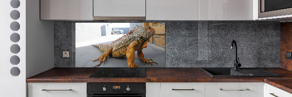 Cooker splashback Iguana