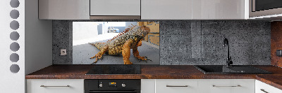 Cooker splashback Iguana