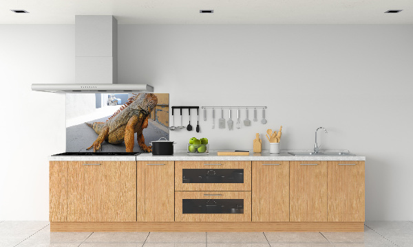 Cooker splashback Iguana