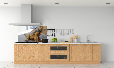 Cooker splashback Iguana