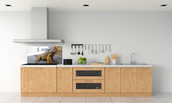 Cooker splashback Iguana