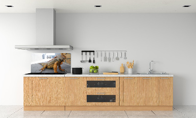 Cooker splashback Iguana