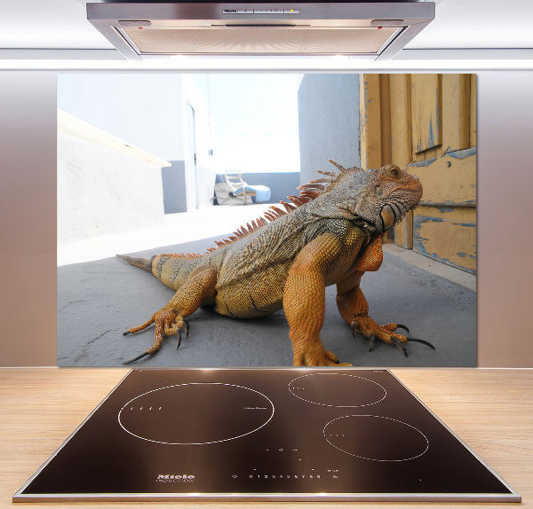 Cooker splashback Iguana