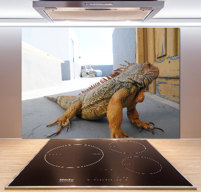 Cooker splashback Iguana