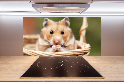 Cooker splashback Hamster in the basket