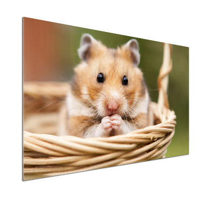 Cooker splashback Hamster in the basket