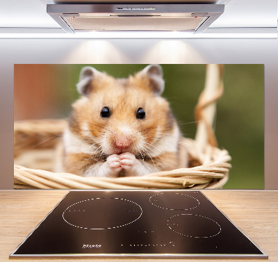 Cooker splashback Hamster in the basket