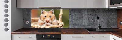 Cooker splashback Hamster in the basket