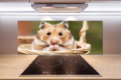 Cooker splashback Hamster in the basket