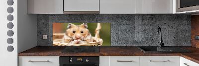 Cooker splashback Hamster in the basket