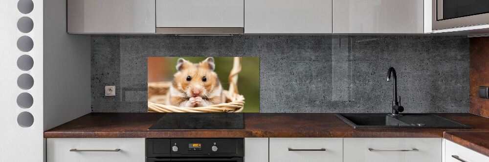 Cooker splashback Hamster in the basket