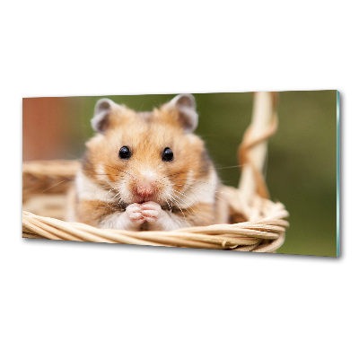 Cooker splashback Hamster in the basket