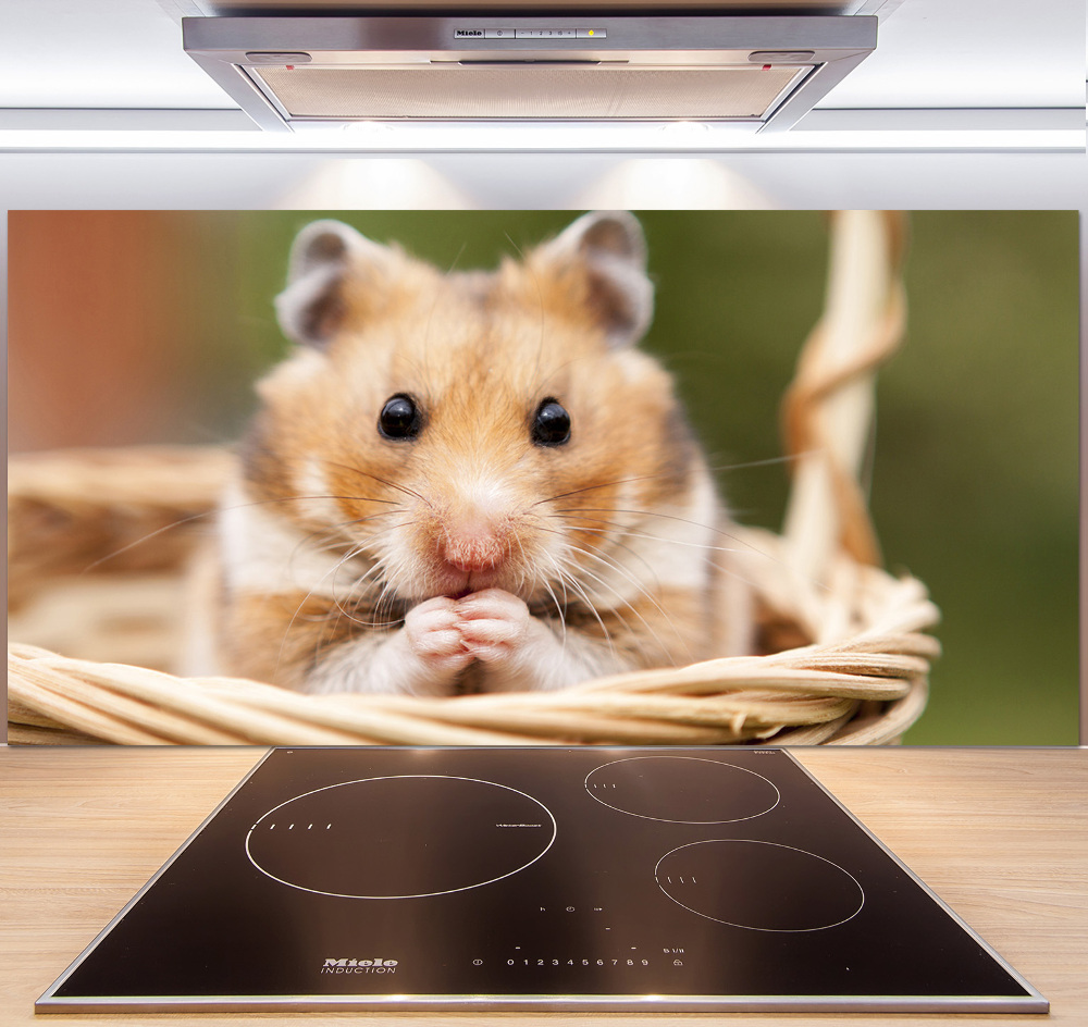 Cooker splashback Hamster in the basket