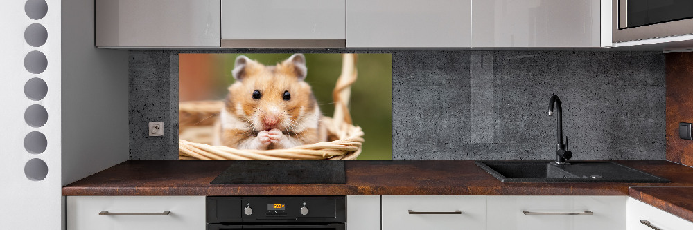 Cooker splashback Hamster in the basket