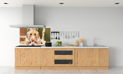 Cooker splashback Hamster in the basket