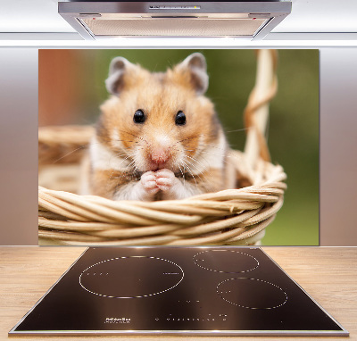 Cooker splashback Hamster in the basket